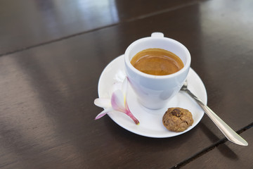 Fototapeta premium Cup of espresso coffee ,Kopi Luwak Bali ,Indonesia.