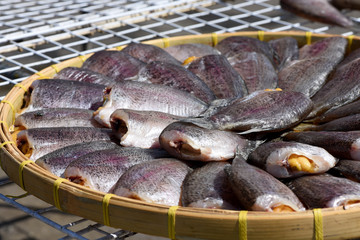 Dried fish.