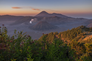 Plakat Sunrise at Mount Bromo volcano East Java, Indonesia.