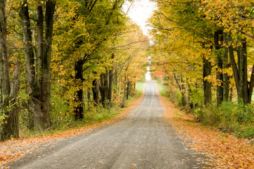 Country Road in Autumn