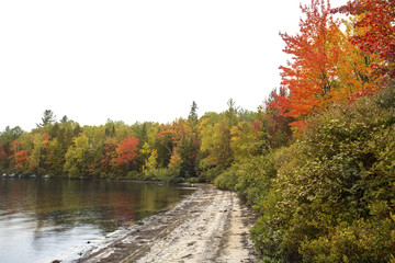 Fototapeta na wymiar Fall foliage on shoreline of Sturdevant Pond in Magalloway, Main
