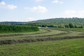 Fototapeta na wymiar Rural Country Farmland