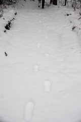Footprints in the Snow