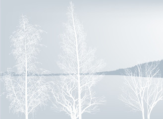 landscape with bare trees in frost