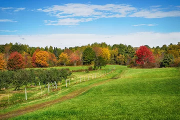 Crédence de cuisine en verre imprimé Campagne Autumn country landscape in New England apple orchard