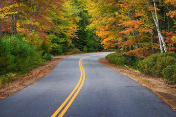 Naklejka premium Winding road through autumn trees in New England