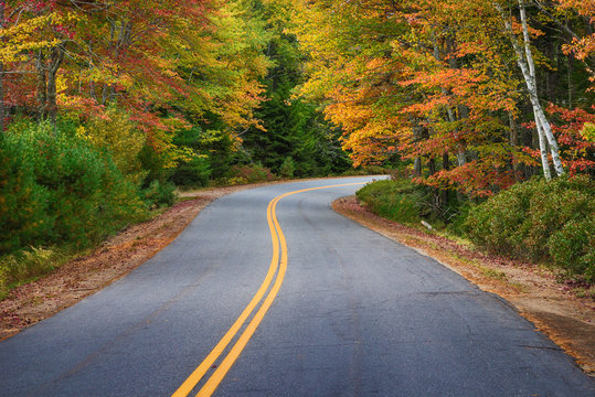 Winding road through autumn trees in New England