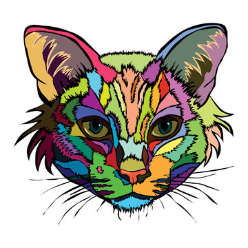 Vector illustration. Pop art portrait of a cat.