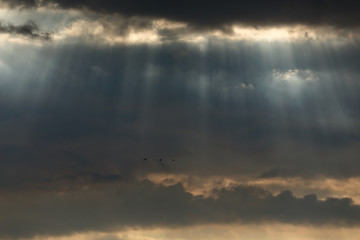 Dark clouds with sunbeams