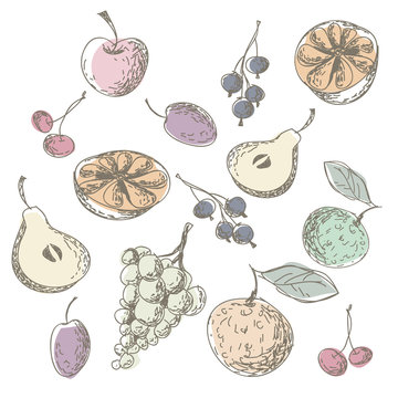 Sketched Fruits
