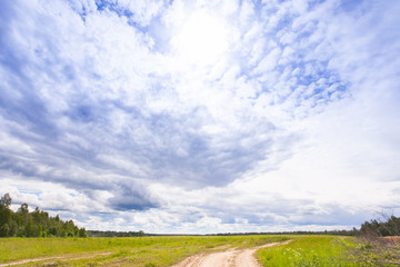 Spring summer background - rural road in green grass field meado
