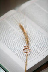 Свадьба, кольца