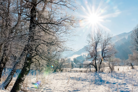 winter