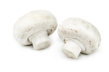 Champignon mushroom isolated