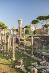 Columns of Rome Forum