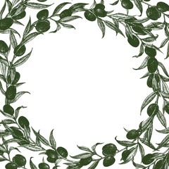 Olive frame vector