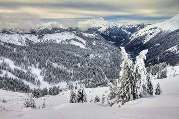 Fototapeta na wymiar Beautiful fresh powder landscape with pine trees in Les Portes du Soleil in the European Alps. HDR