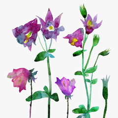 Fototapeta na wymiar Beautiful vector watercolor floral card painted by hand.