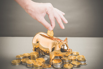 金の豚の貯金箱