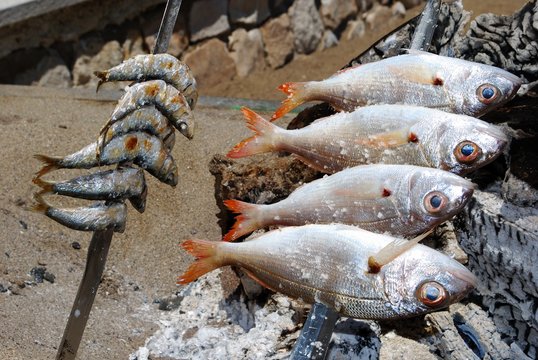 Fish being cooked on a barbecue in Spain.