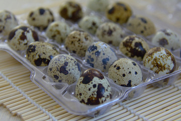 Obraz premium box with quail eggs lying in rows