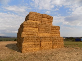 High pile of hay bales © majo1122331