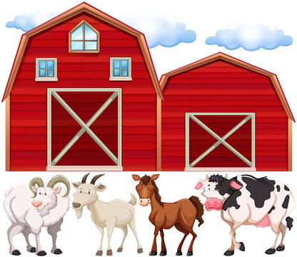 Farm animals and farmhouses