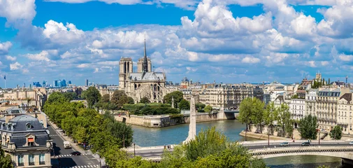 Deurstickers Seine and Notre Dame de Paris © Sergii Figurnyi