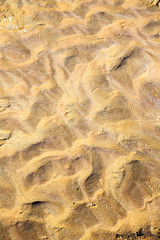   brown sand    morocco desert
