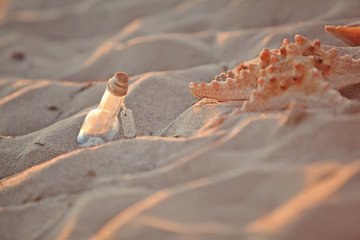 Sea decoration on the beach