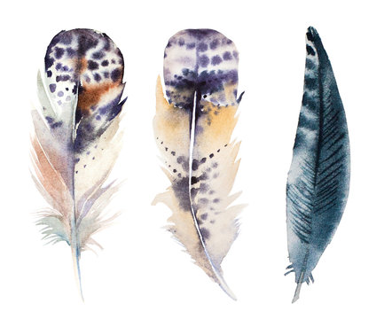 hand drawn watercolor feather set, raster illustration isolated 
