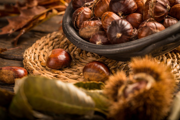 Roasted chestnuts and leaves