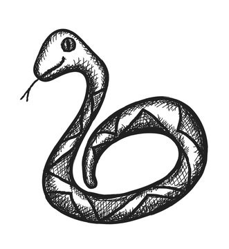 doodle snake