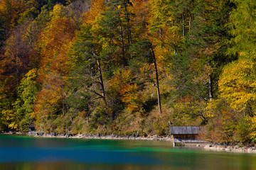 Obraz premium Alpsee in Hohenschwangau im Herbst