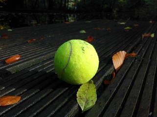Tennisball im Herbst