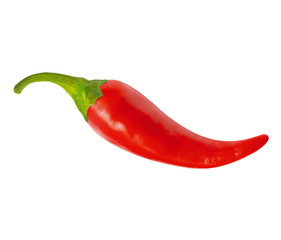 One red hot chili pepper, with clipping path