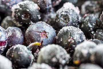 Frozen blueberries