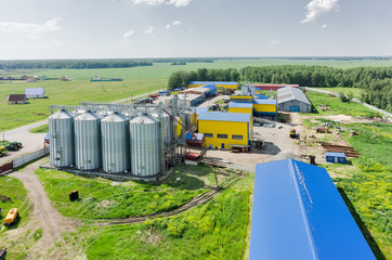 Corn dryer silos standing in a field of corn