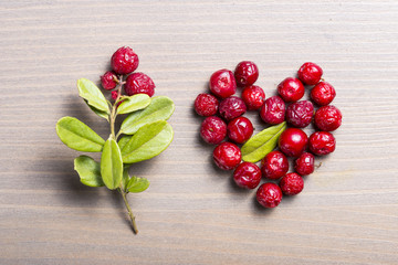 Valentine made of cowberries, with twig of the cowberries