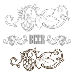 Hops ornament vector illustration