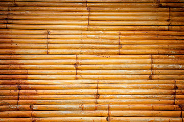 bamboo background and texture
