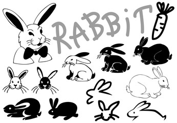 Rabbit pictures and icons