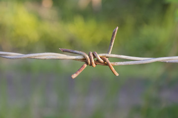 old rusty barbed wire