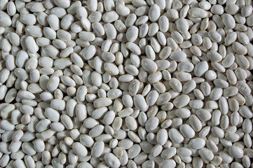 White Bean