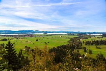 Green fields next to Neuschwanstein