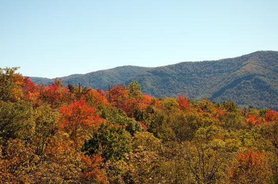 A fall view from raven rock on Pine Mountain.