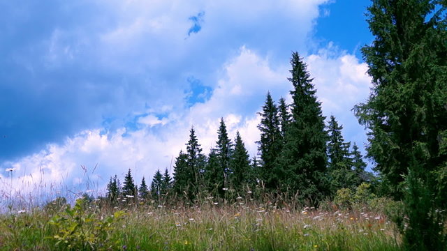Mountain Landscape in the Carpathian
