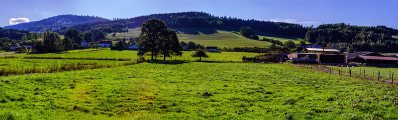 Obraz premium Beautiful colorized autumnal hills and meadows in Alsace