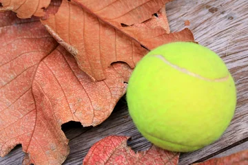 Fototapeten tennis ball with dry leaves © oilslo