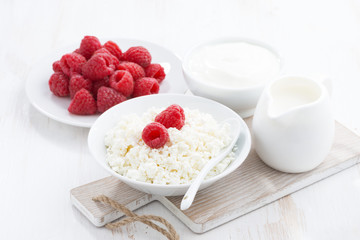 fresh homemade cottage cheese with raspberry, milk and yogurt 